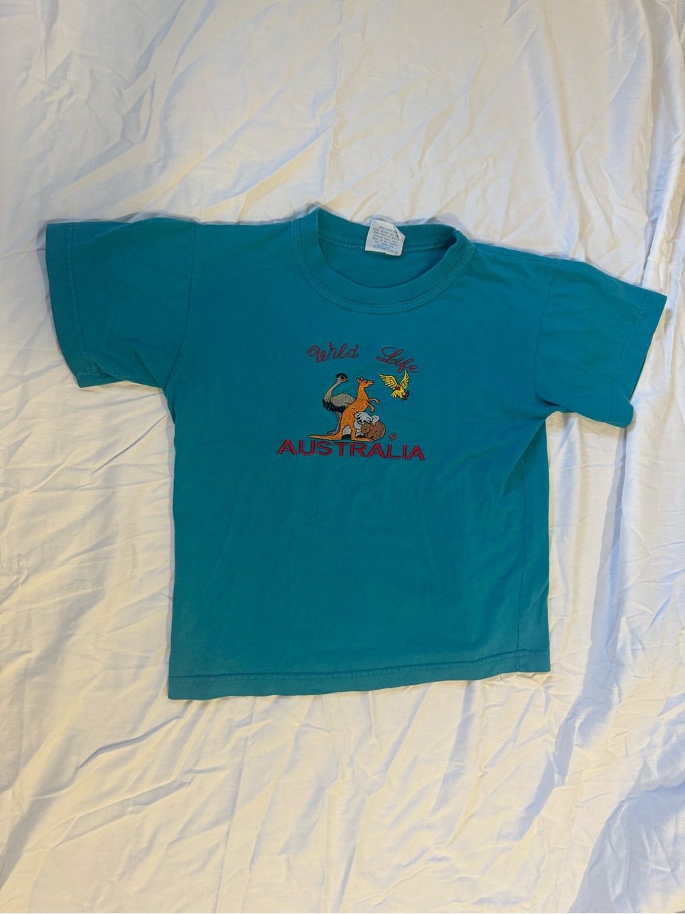 Blue T-shirt with cute embroidery